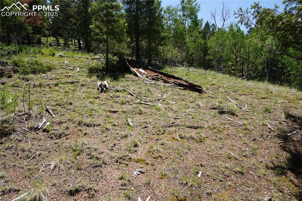 Image 4 of 22: Other