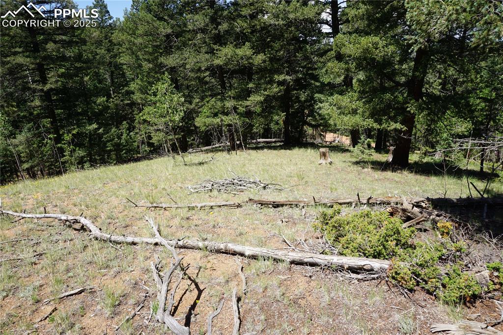 Image 5 of 22: Other