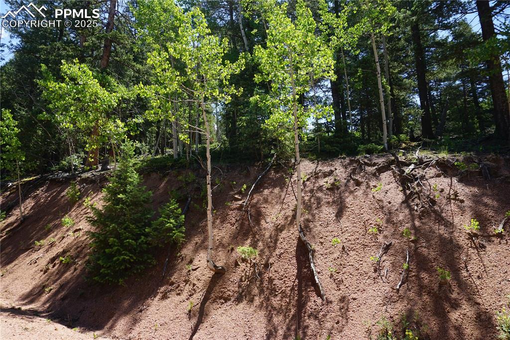 Image 8 of 22: Other