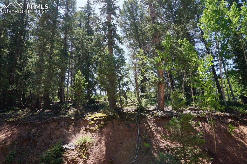 Image 9 of 22: Other