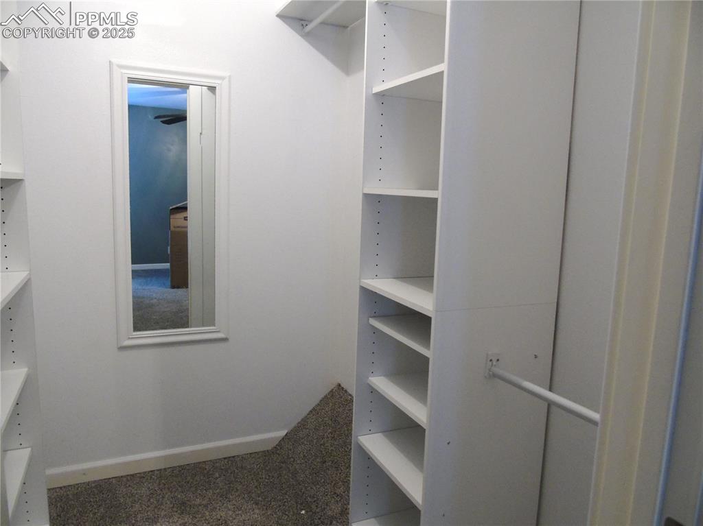 Image 24 of 29: Spacious closet with carpet flooring