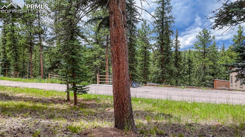 Image 10 of 29: Yard