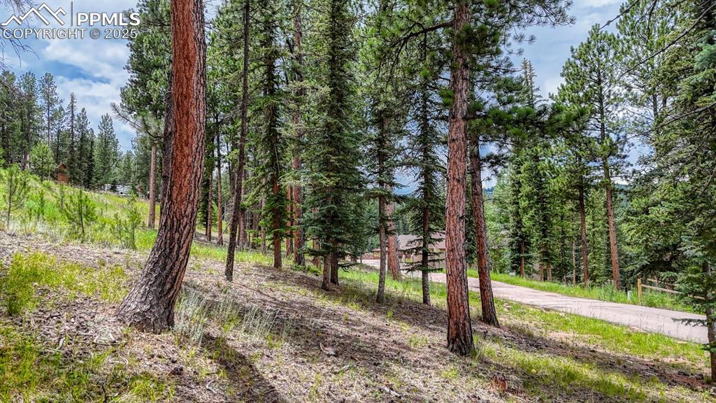 Image 11 of 29: Other