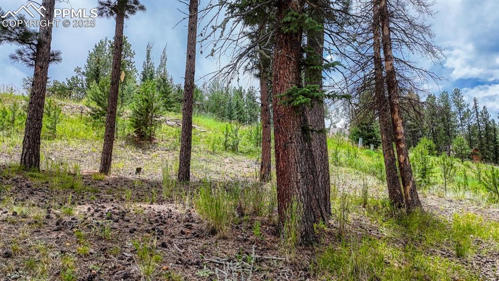 Image 13 of 29: Other