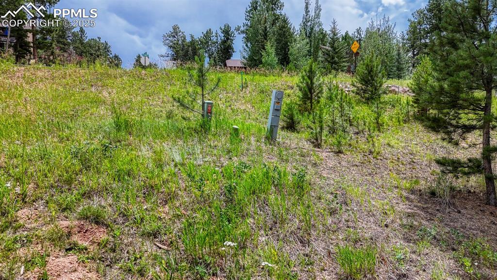 Image 14 of 29: Other