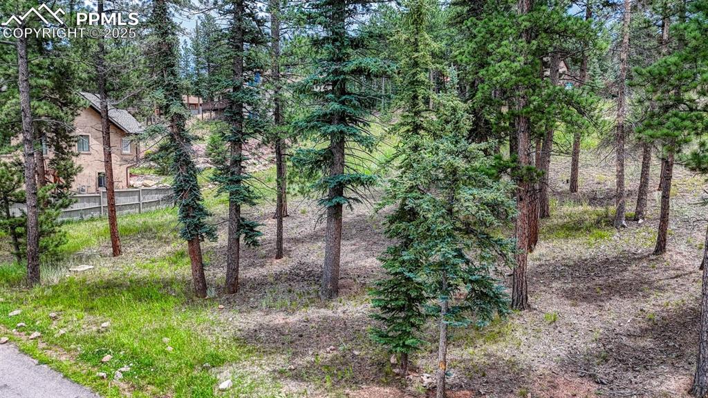 Image 22 of 29: Yard