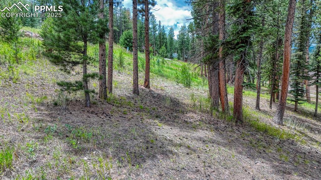 Image 5 of 29: No HOA