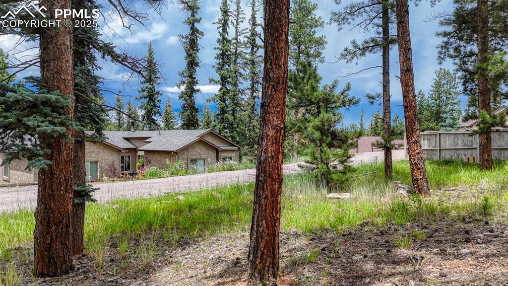 Image 9 of 29: Other