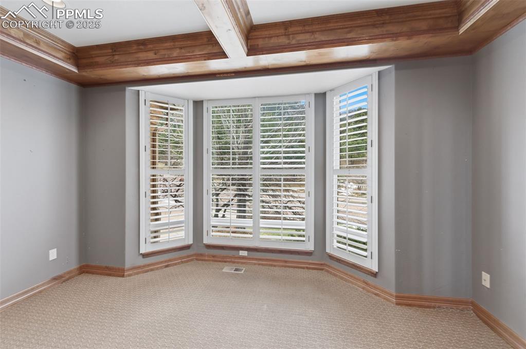 Image 13 of 50: Study