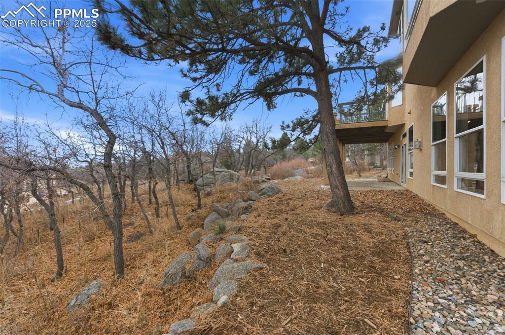 Image 47 of 50: Yard