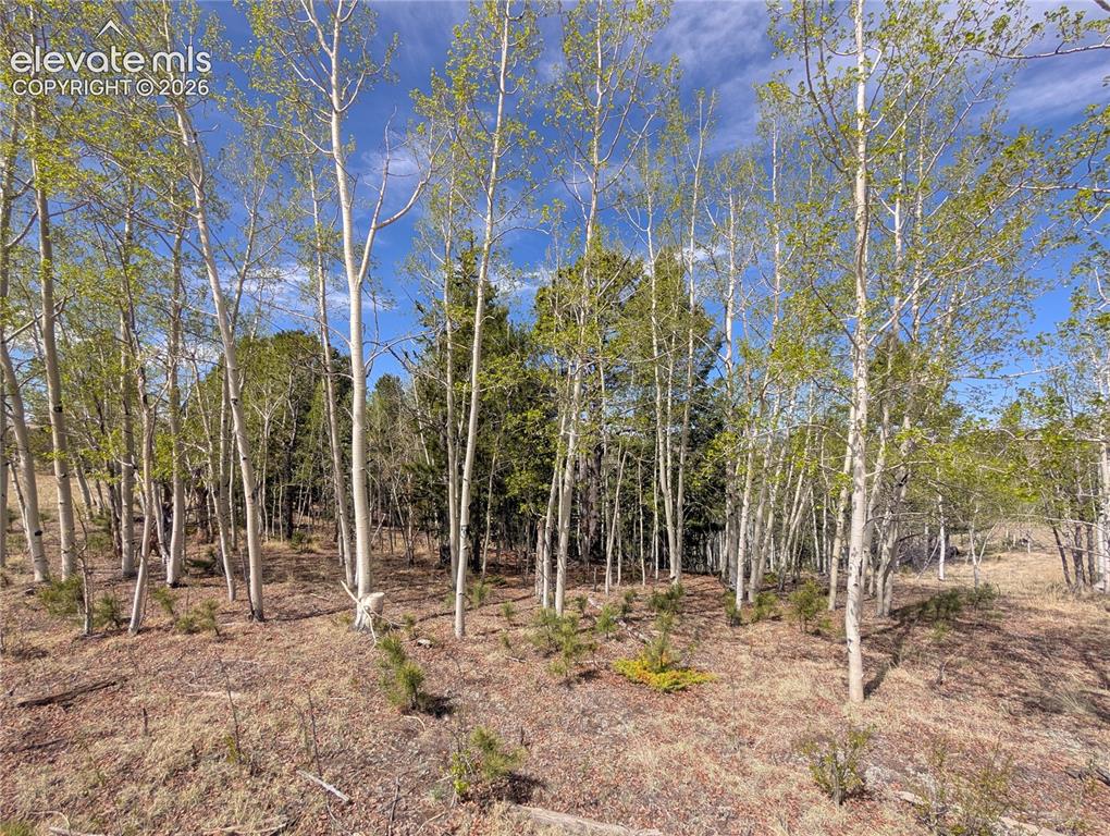 Image 10 of 14: Other