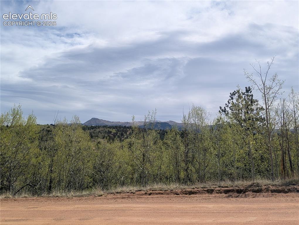 Image 11 of 14: View