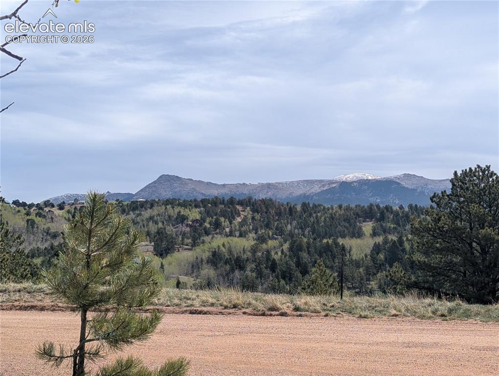 Image 3 of 14: View