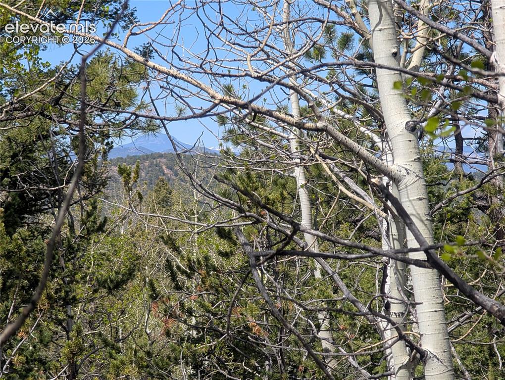 Image 8 of 14: Other
