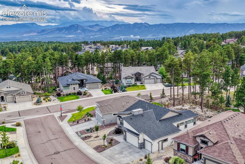 Image 41 of 43: Back yard backs to common area with pine trees