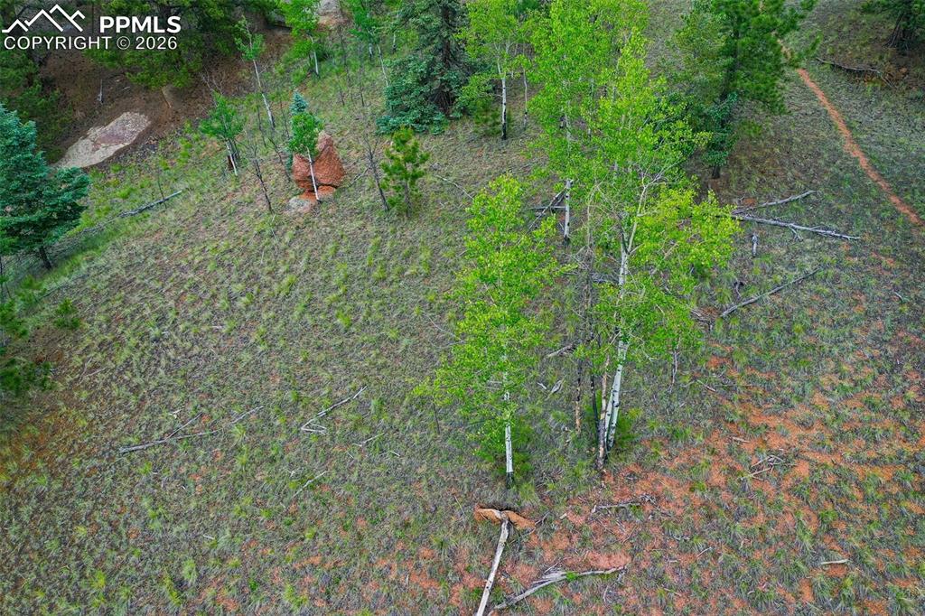 Image 8 of 13: Aerial View