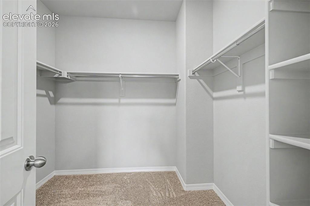 Image 27 of 45: Walk-in closet featuring light-toned carpeting, white baseboards, multiple