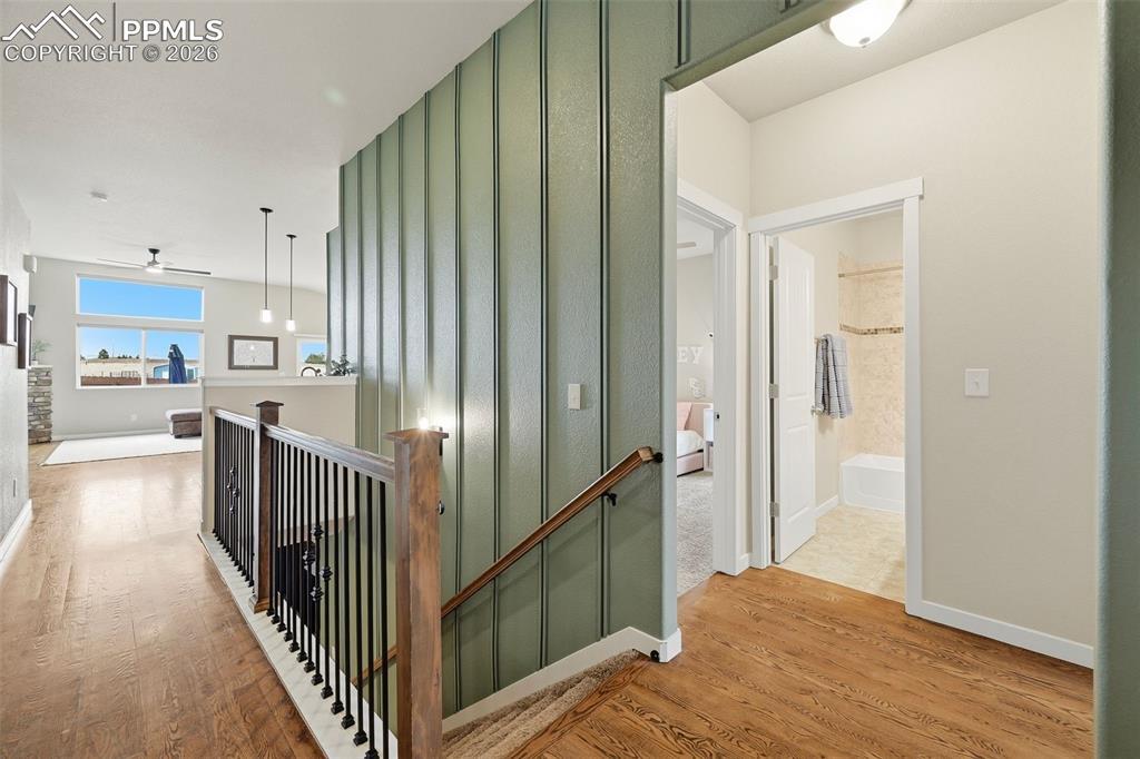 Image 6 of 36: Other