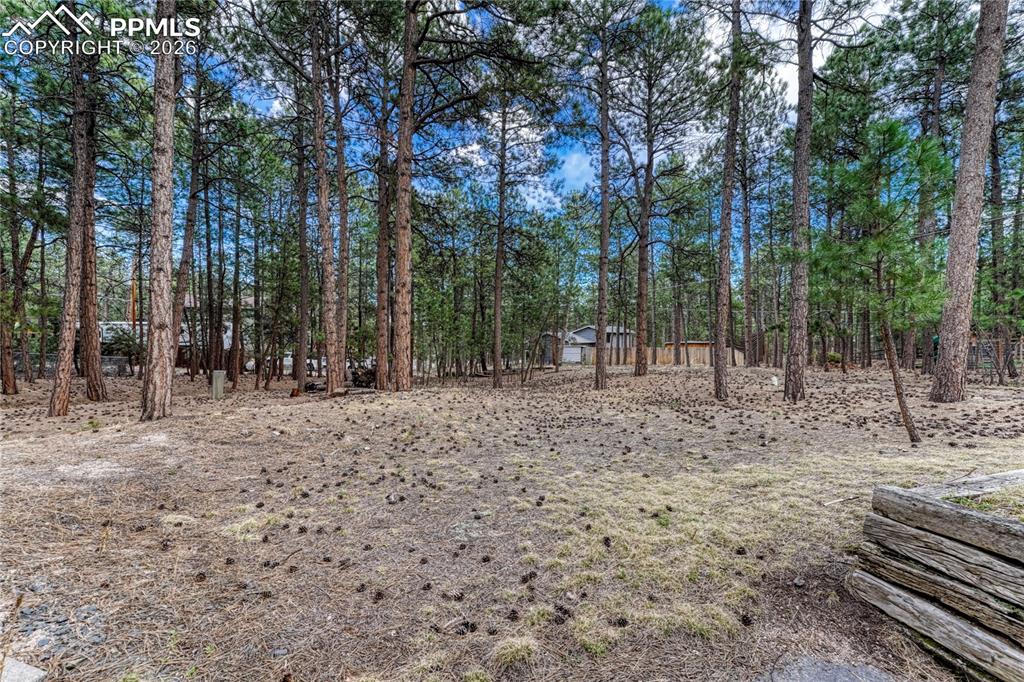 Image 40 of 50: Yard