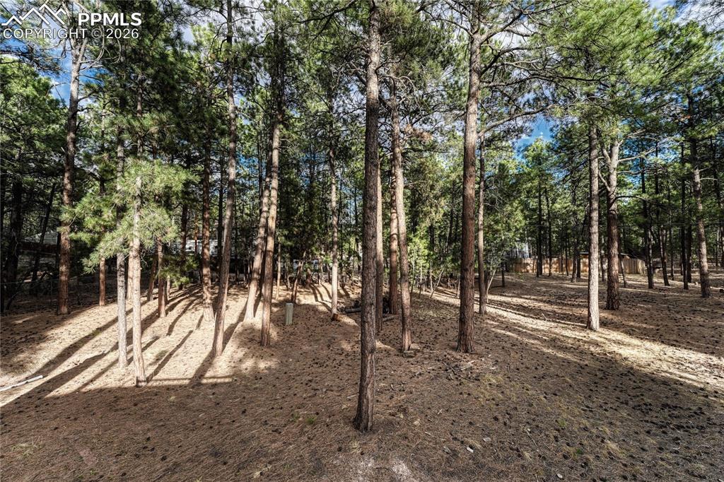 Image 41 of 50: Yard