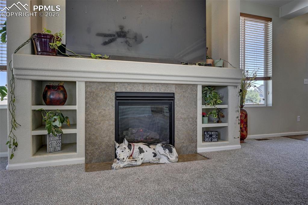Image 22 of 50: Detailed view of carpet floors, a tile fireplace, and built in shelves