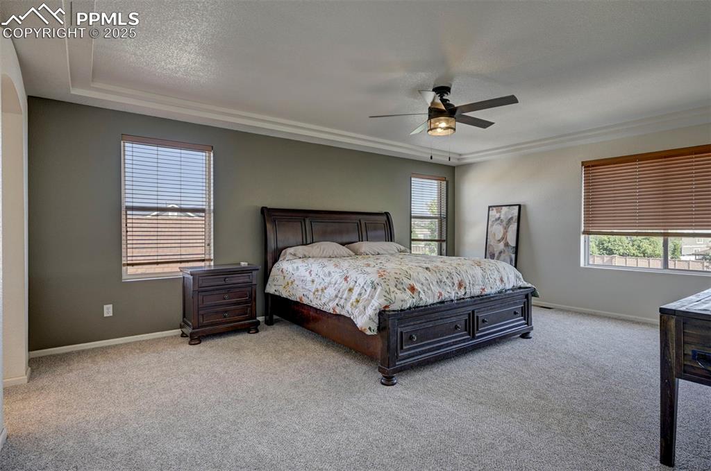 Image 41 of 50: Bedroom featuring multiple windows and light carpet