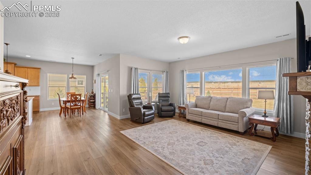 Image 18 of 45: Living Room