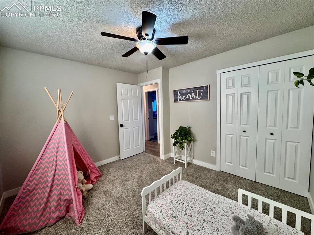 Image 12 of 27: Neutral wall paint complemented by plush carpeting