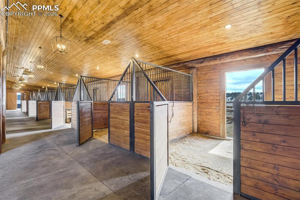 Image 45 of 50: No Description Available