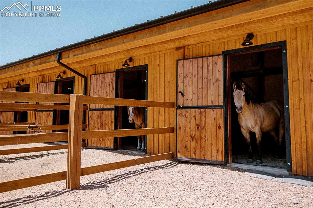 Image 46 of 50: No Description Available