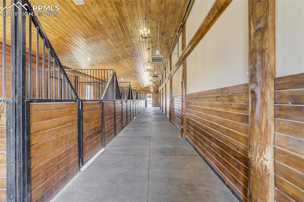 Image 47 of 50: No Description Available