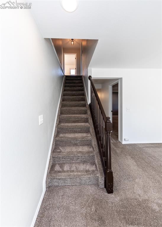 Image 38 of 50: Other