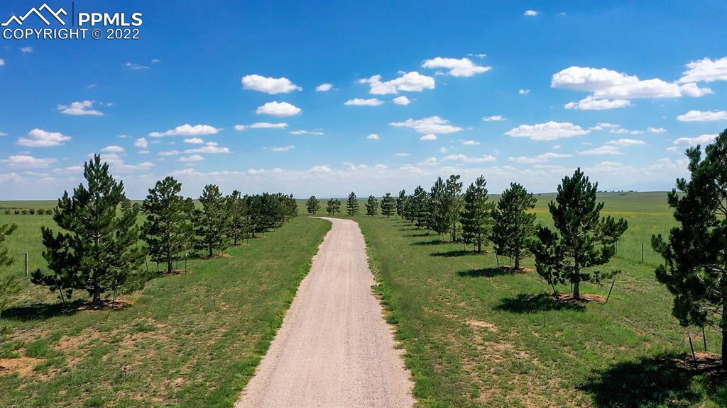 Listing 4467441, Image 16 of 44