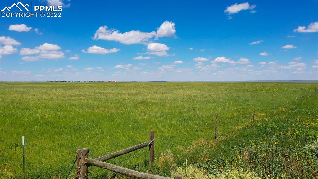 Listing 4467441, Image 17 of 44