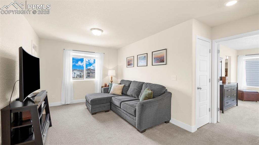 Image 29 of 43: Living area featuring light carpet