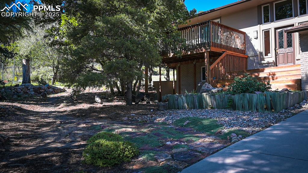 Image 2 of 34: Gobble Gobble