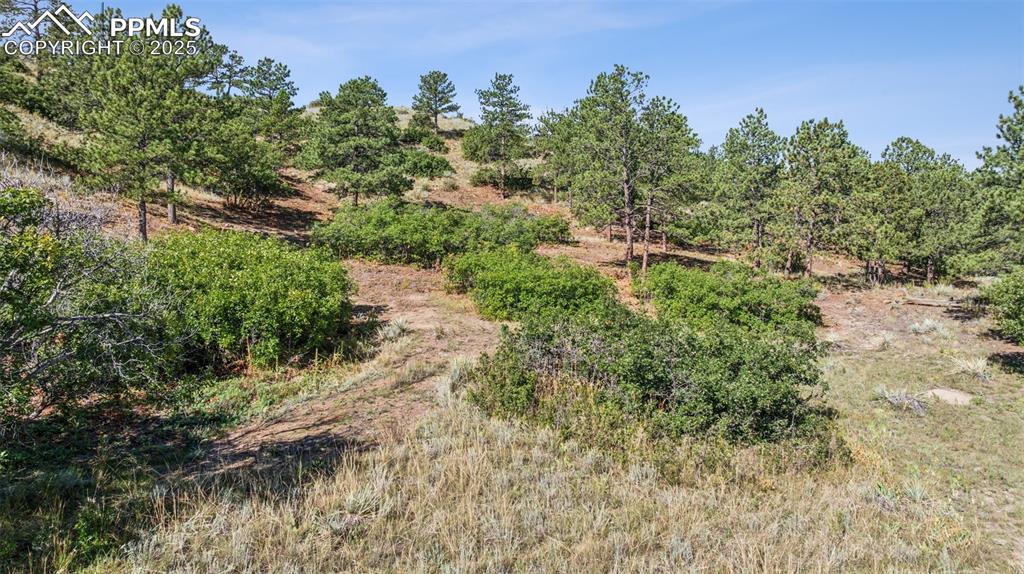 Image 33 of 34: Open space behind home