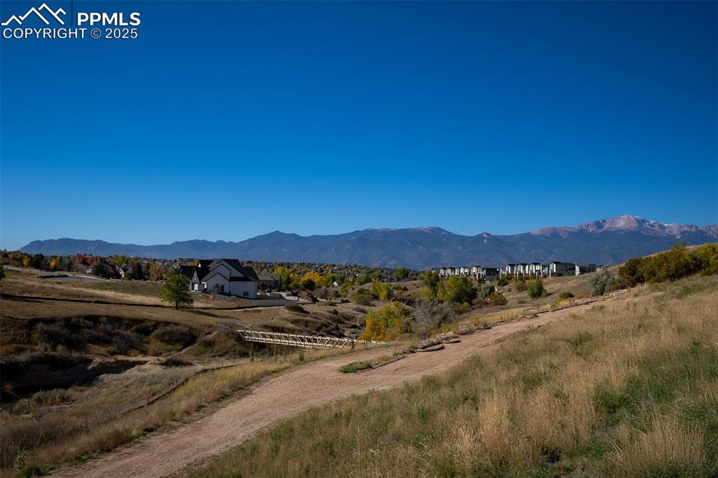 Image 39 of 40: View