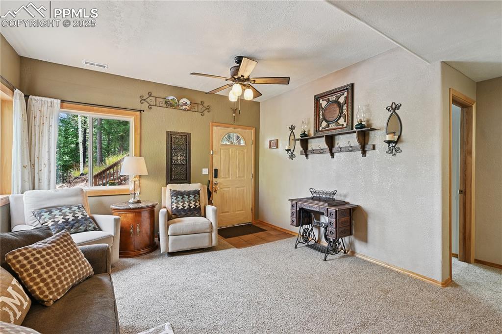 Image 12 of 34: Carpeted living room with a ceiling fan and a textured wall