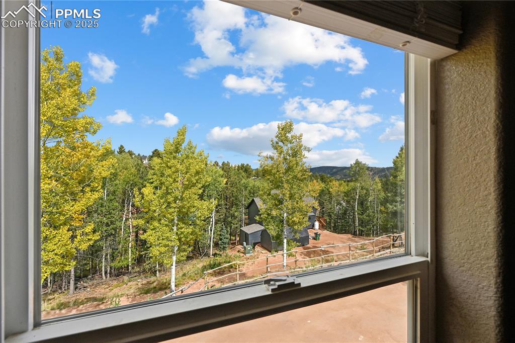 Image 20 of 34: Detailed view of a tree filled landscape and a textured wall