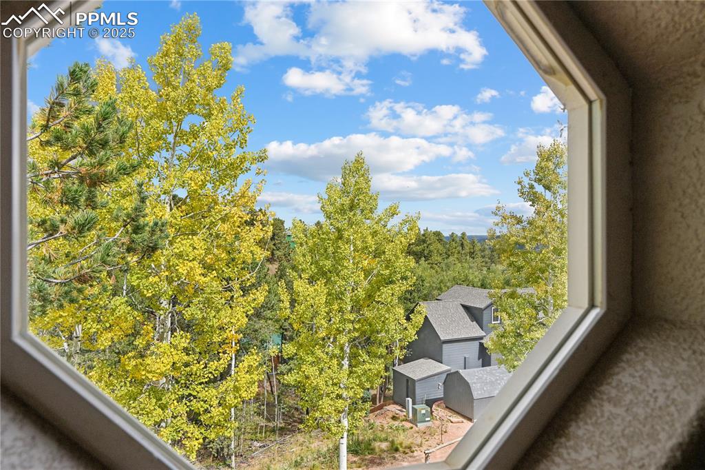 Image 22 of 34: Detailed view of a tree filled landscape