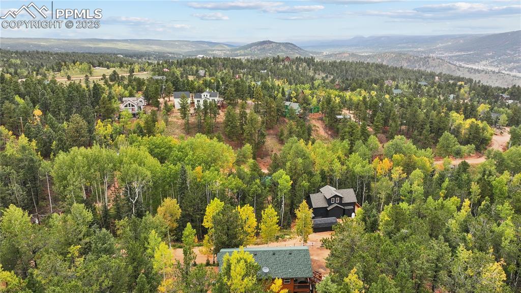 Image 9 of 34: Drone / aerial view of a forest and a mountainous background
