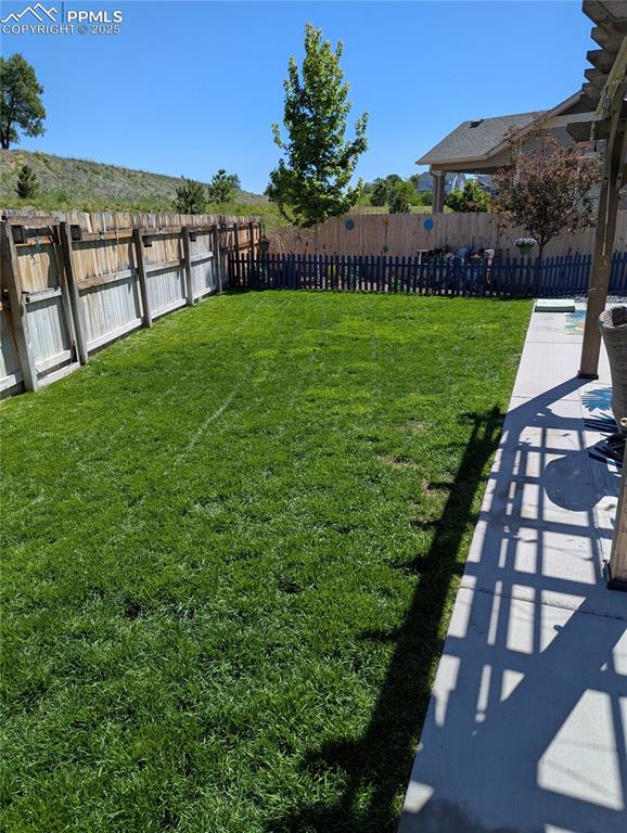 Image 50 of 50: Backyard