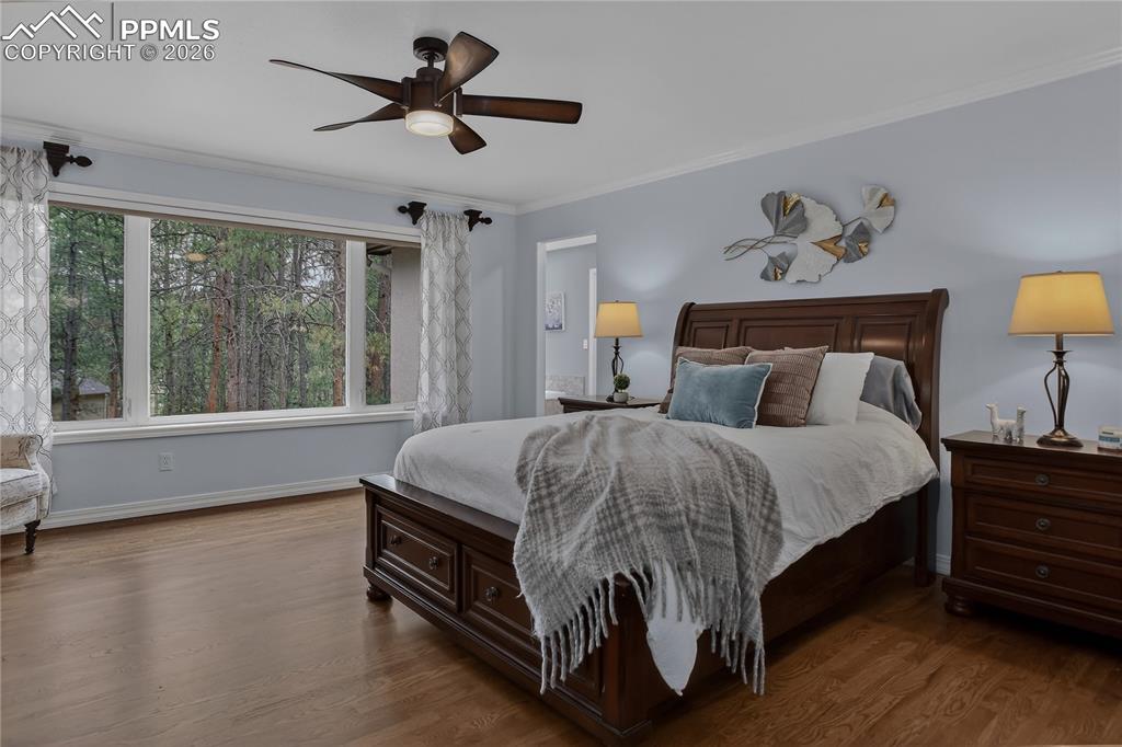 Image 22 of 48: Spacious and bright bedroom looks out onto the backyard