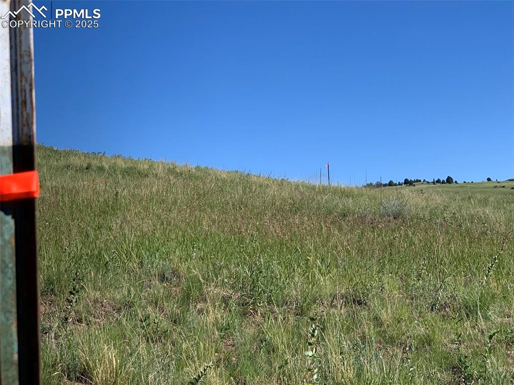 Image 6 of 13: View of local wilderness with rural landscape