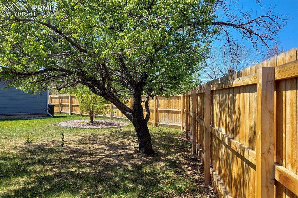 Image 17 of 23: Yard