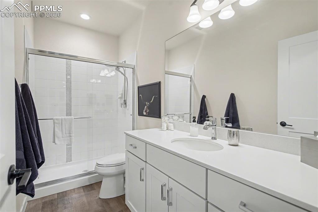 Image 42 of 50: The lower level features a spacious and inviting bedroom with plush carpeti