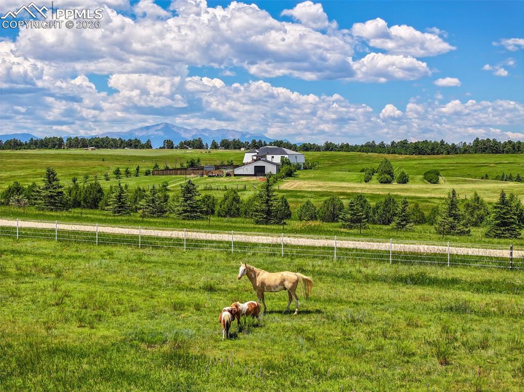 Image 40 of 46: Community