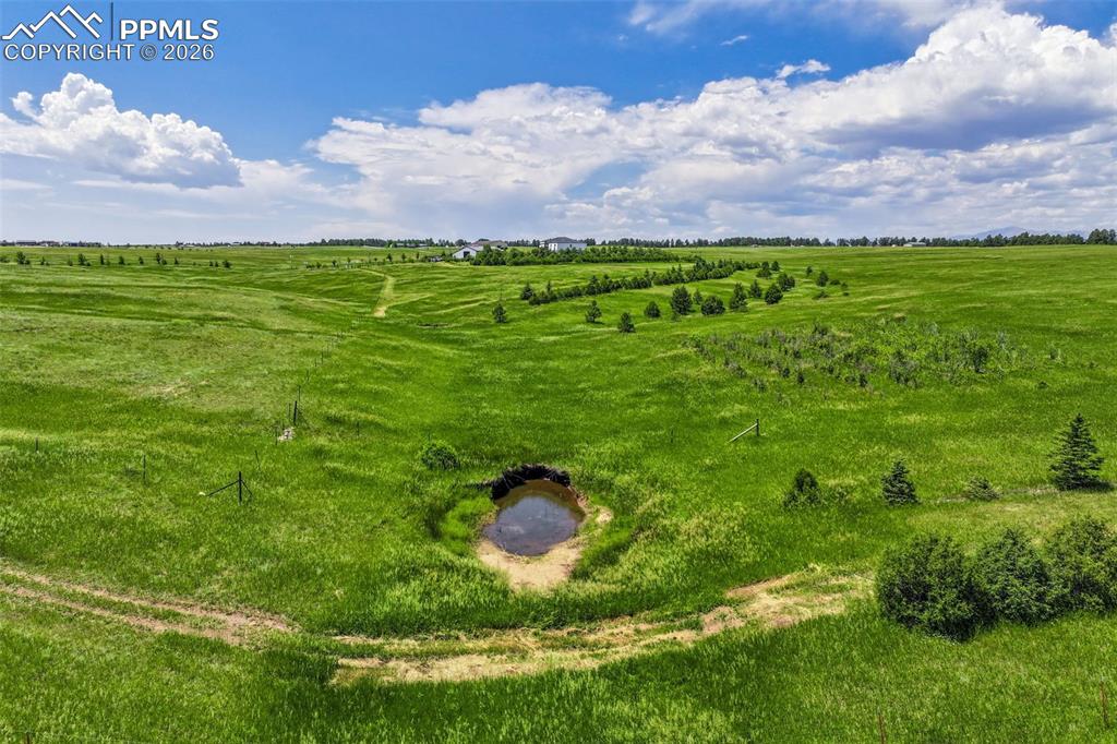 Image 43 of 46: Other