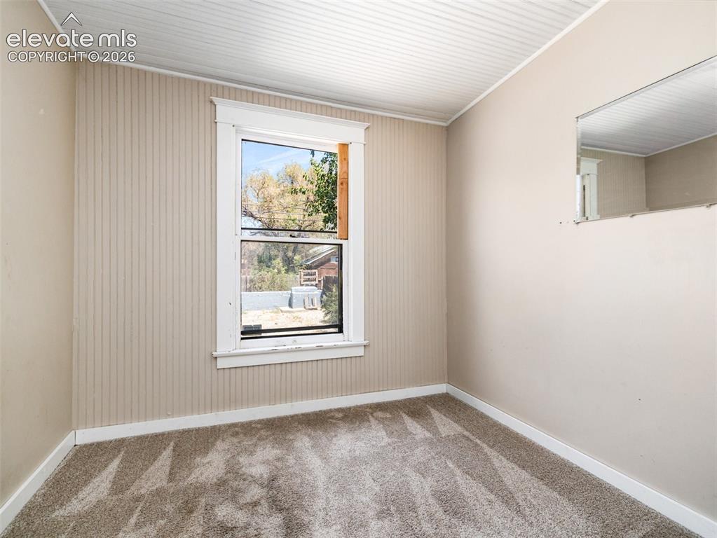 Image 15 of 22: Window with white trim, wall paneling, textured carpeting, and white basebo